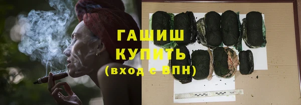 гидра Елабуга
