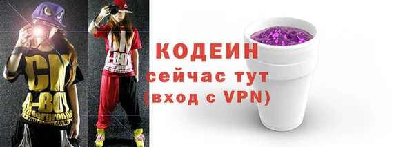 шишки Дмитров
