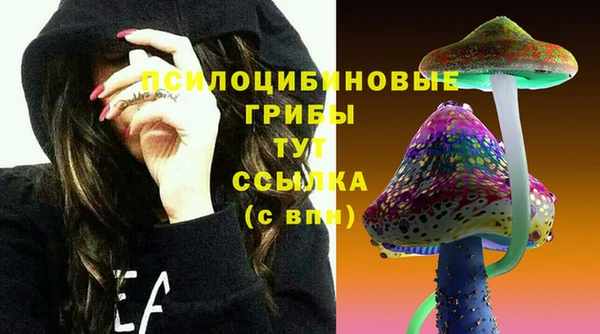 шишки Дмитров